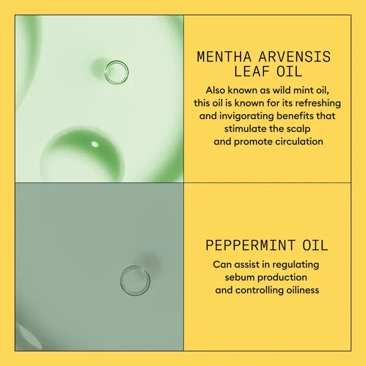 Nioxin System 1 conditioner